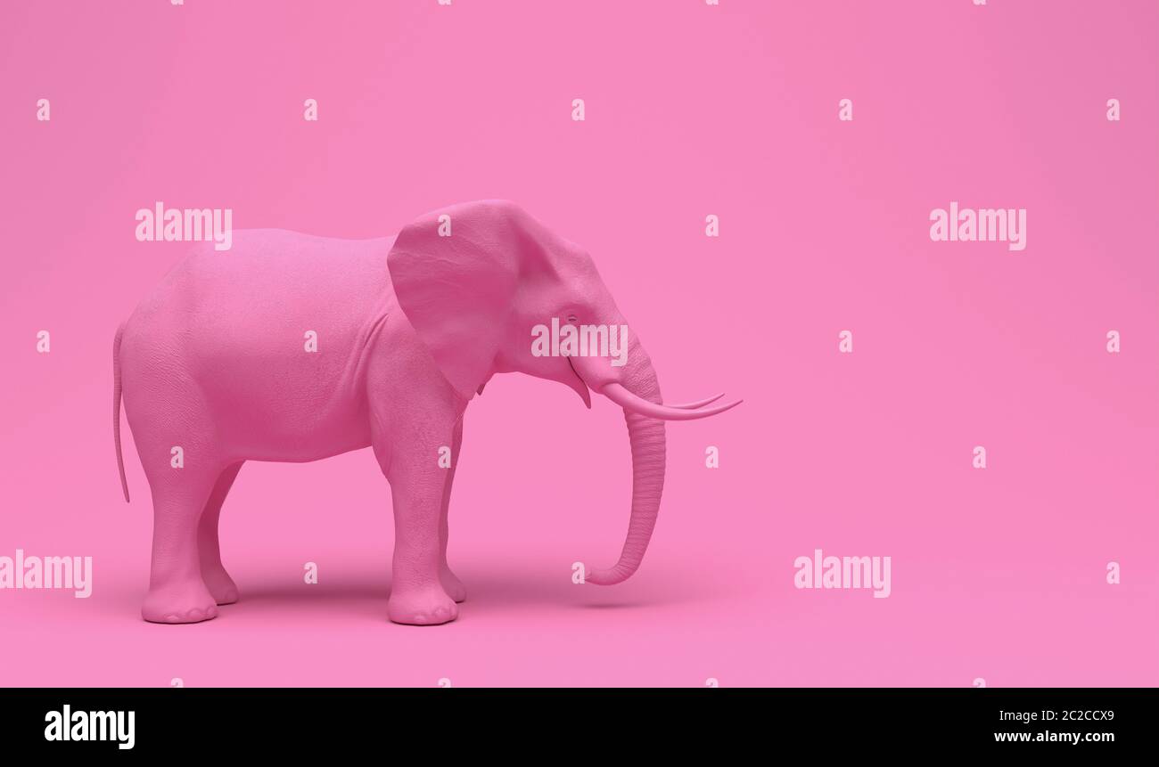 Ein einfarbiger realistischer Elefant in rosa isoliert auf einem rosa Hintergrund. Kreative konzeptuelle monochrome Illustration mit Kopierraum. 3D-Rendering. Stockfoto