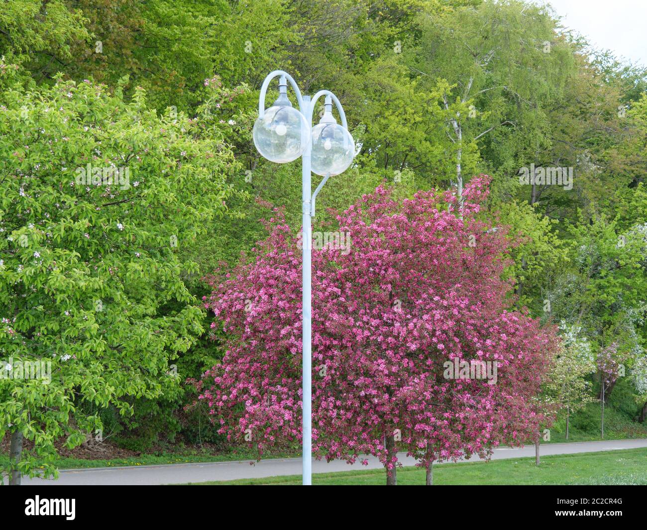 danzig in polen und der ostsee Stockfoto