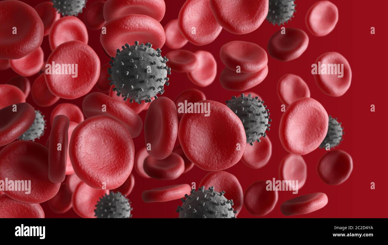 Rote Blutkörperchen und Coronavirus isoliert auf rotem Hintergrund. Mehrere Objekte. Erythrozyten. COVID-19 Pandemie. 3d-Illustration. Stockfoto