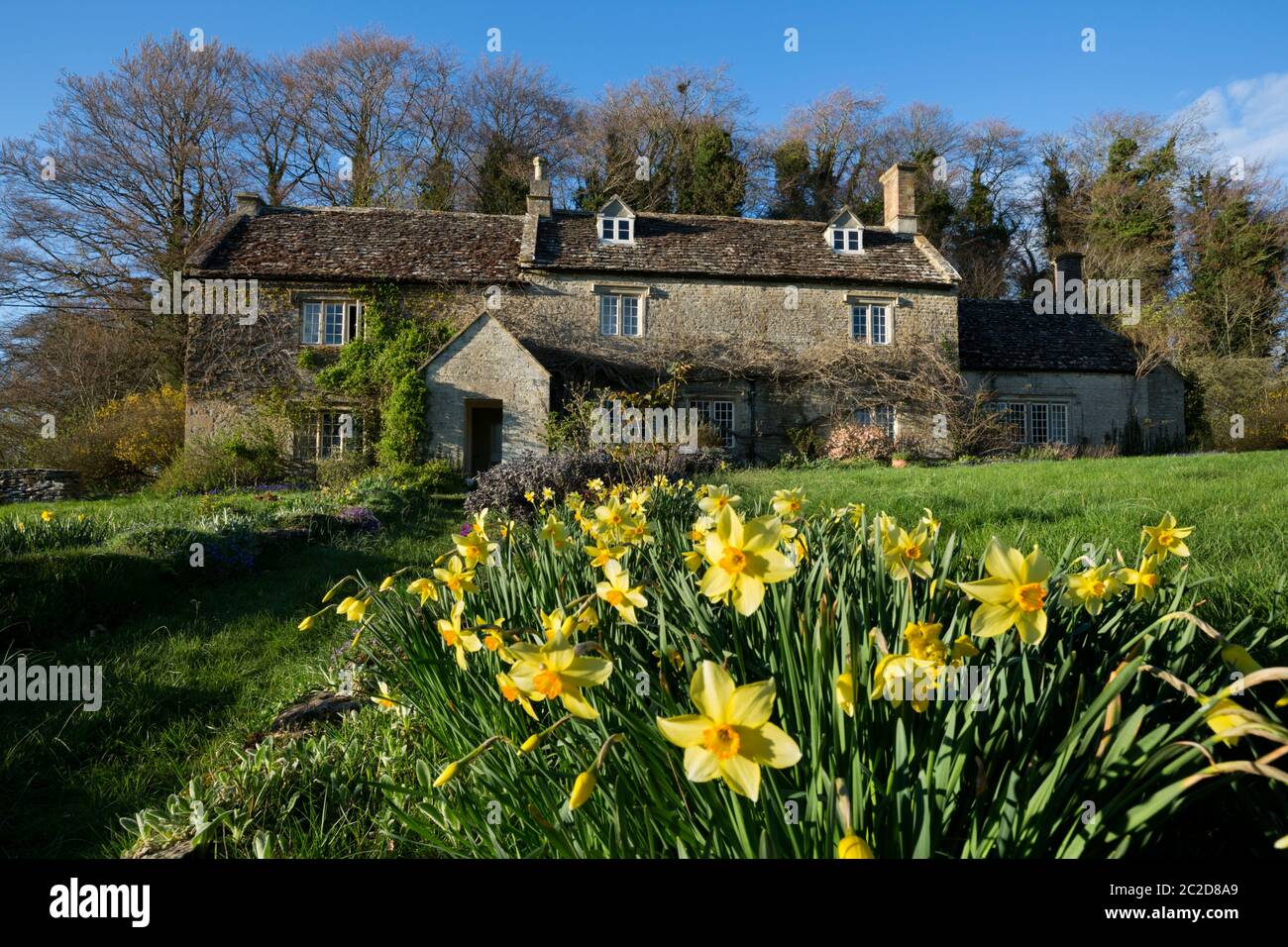Cotswold Bauernhaus mit Frühling Narzissen, Eastleach, Cotswolds, Gloucestershire, Vereinigtes Königreich Stockfoto