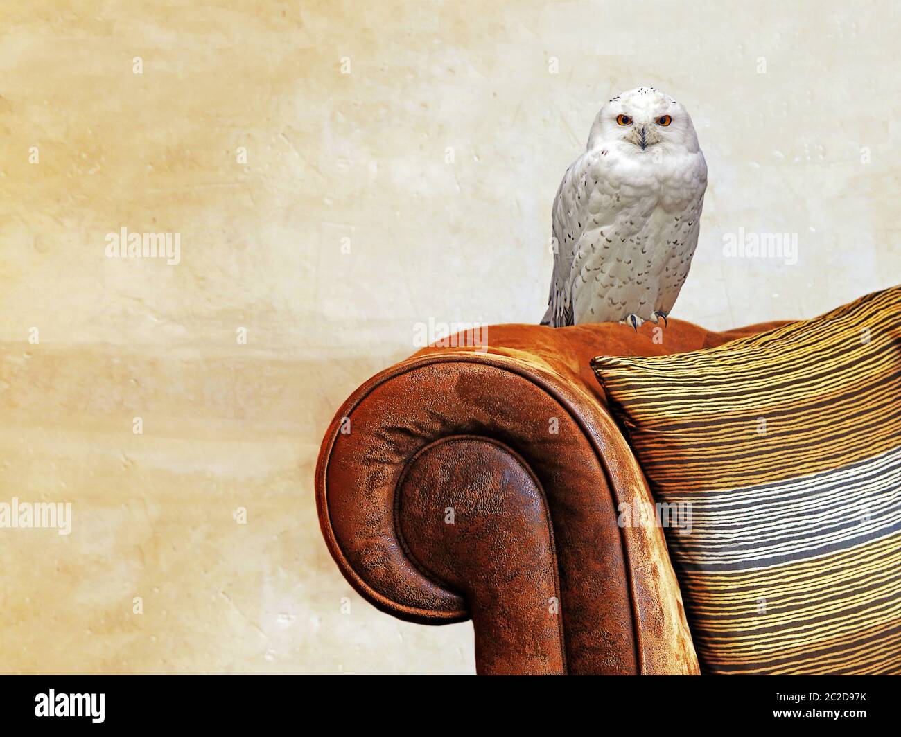 Schneeeule als Symbol der Weisheit auf einem Sofa in der Lesecke Stockfoto