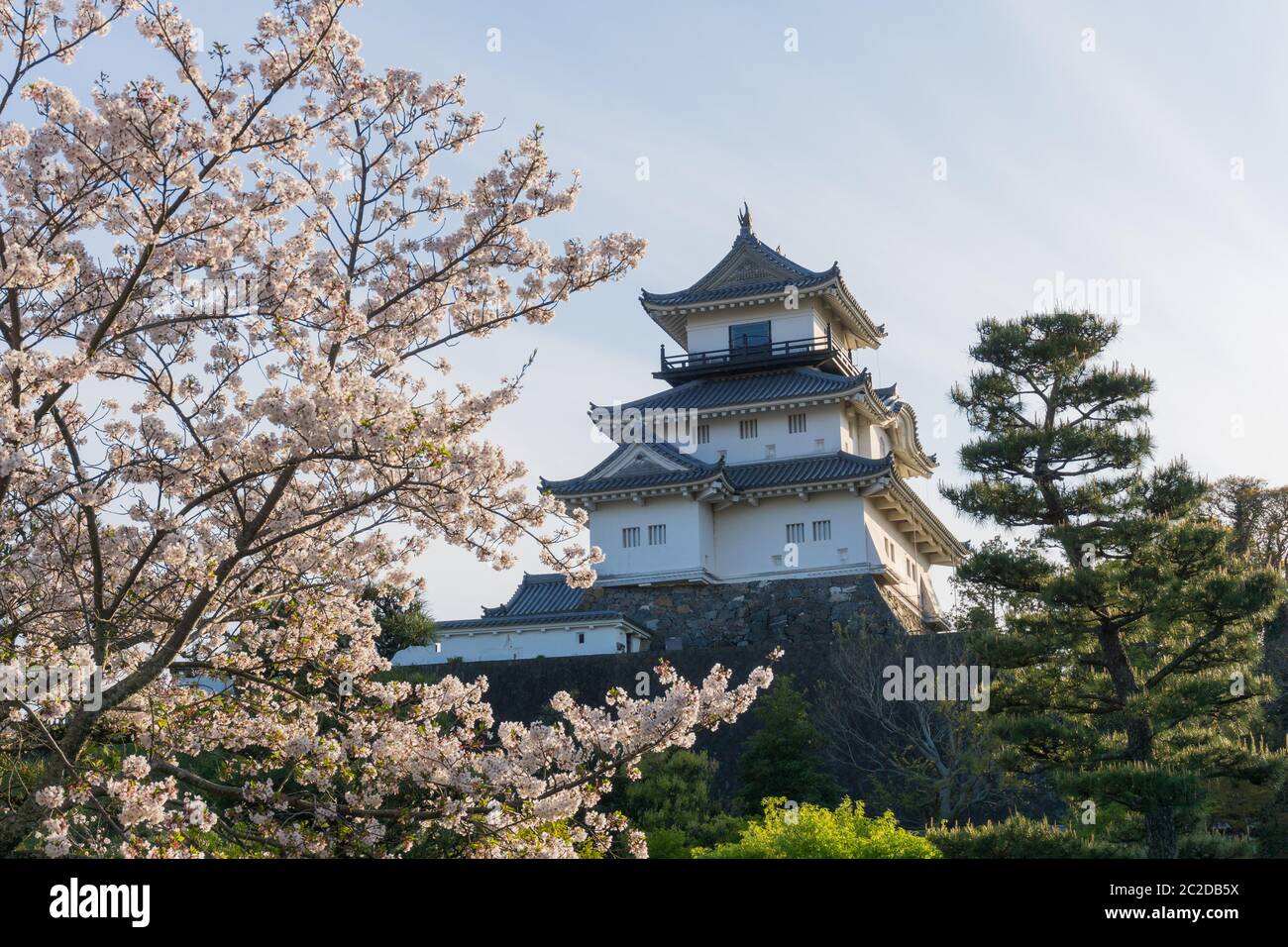 Das Schloss Kakegawa begrüßt Sie in der Präfektur Shizuoka in der Stadt Kakegawa.Es befindet sich auf einem kleinen Hügel, 15 Gehminuten nördlich vom JR-Bahnhof Kakegawa. Es war das erste BU Stockfoto