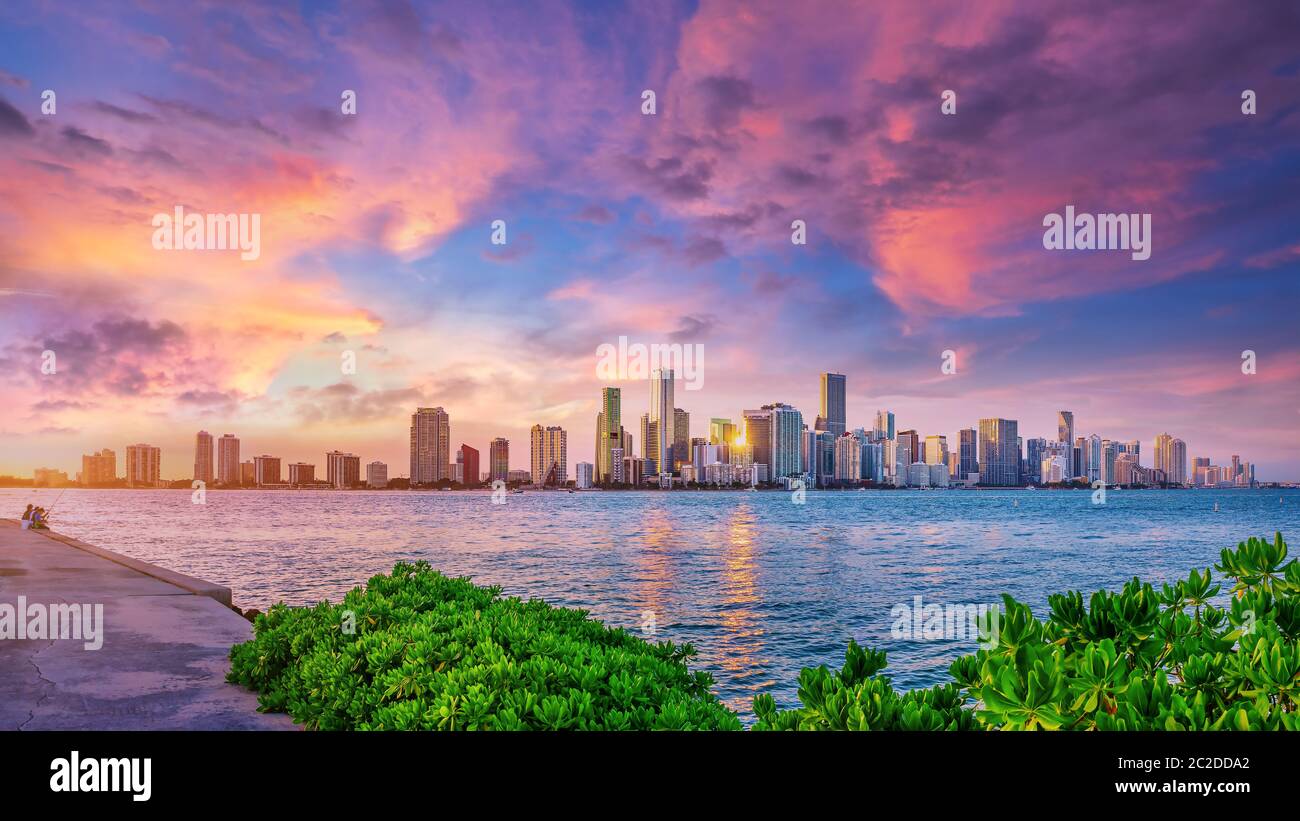 Panoramablick auf die Skyline von miami, florida Stockfoto
