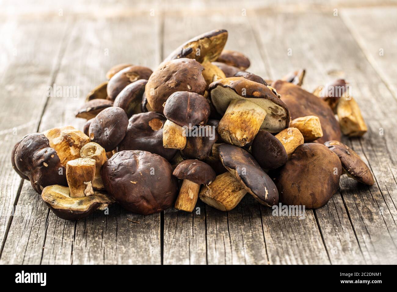 Eine Menge von Steinpilzen auf alten Holztisch. Stockfoto