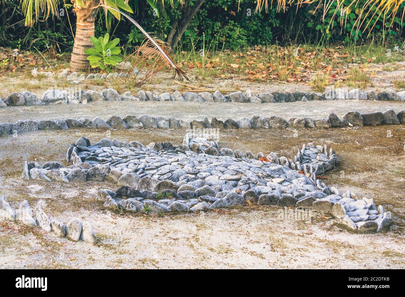 Graue flache Steine auf dem Boden geformt wie Meeresschildkröte in der Nähe von Fußweg. Stockfoto
