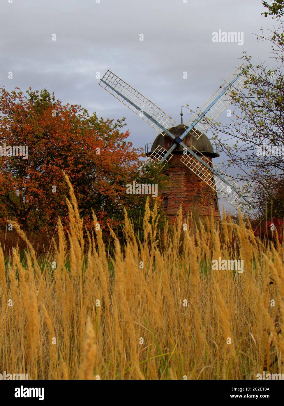 Windmühle Holl?nder Rheinsberg Stockfoto