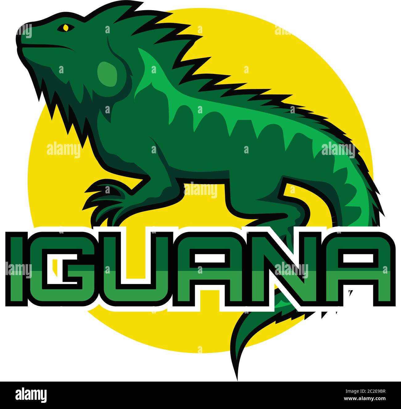 iguana Logo für Ihr Unternehmen, Vektor-Illustration Stock Vektor