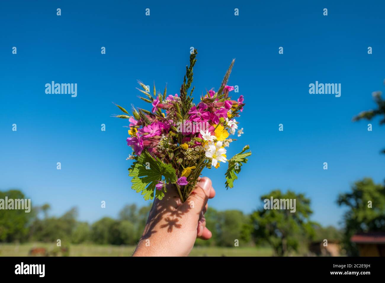 Farbenprächtiger Frühlingsstrauß aus dem Garten in der Hand gehalten und in den Himmel gestreckt Stockfoto