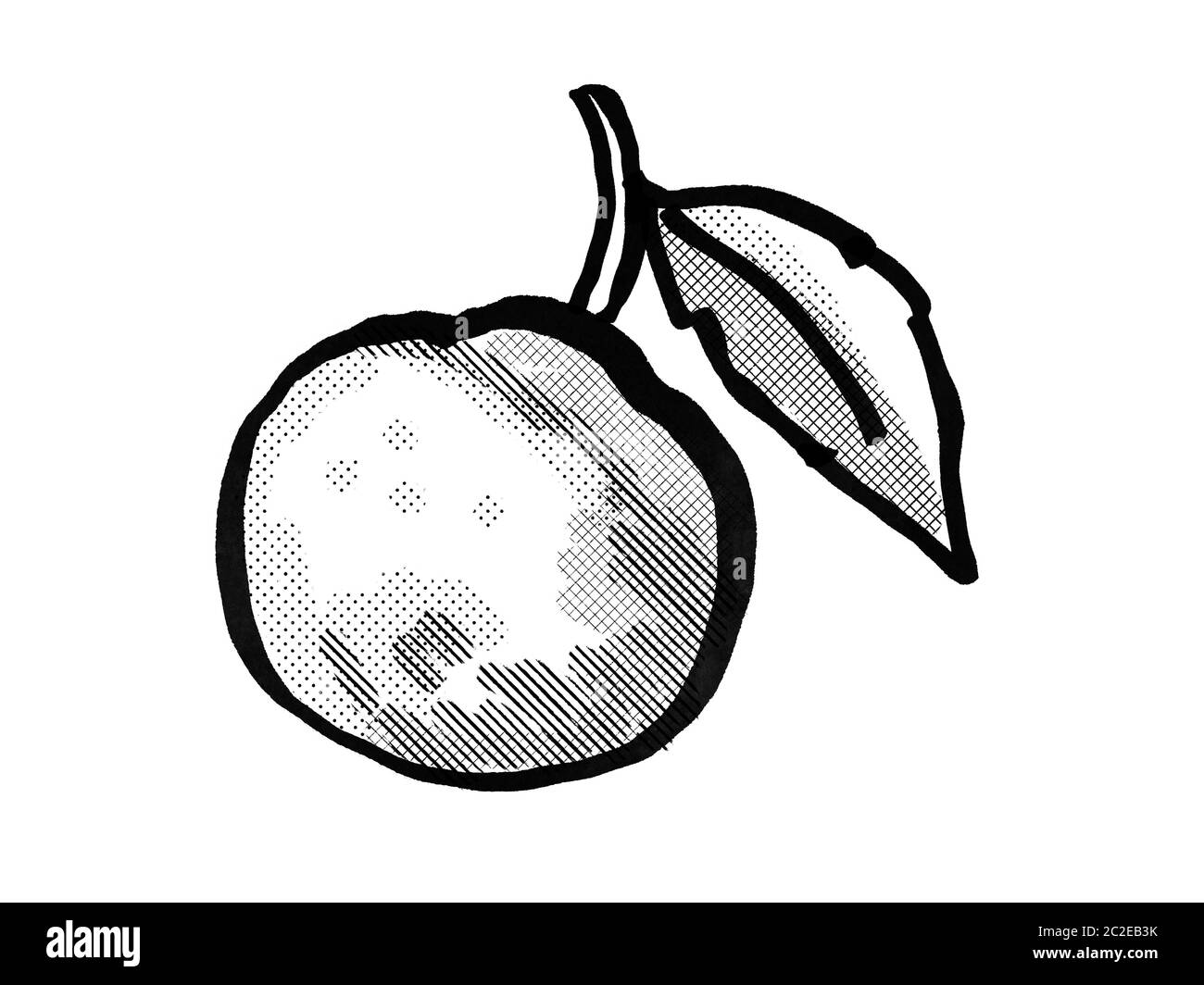 Retro Cartoon Stil Zeichnung eines orange Frucht mit Blatt auf isolierten weißen Hintergrund in Schwarz und Weiß gemacht Stockfoto