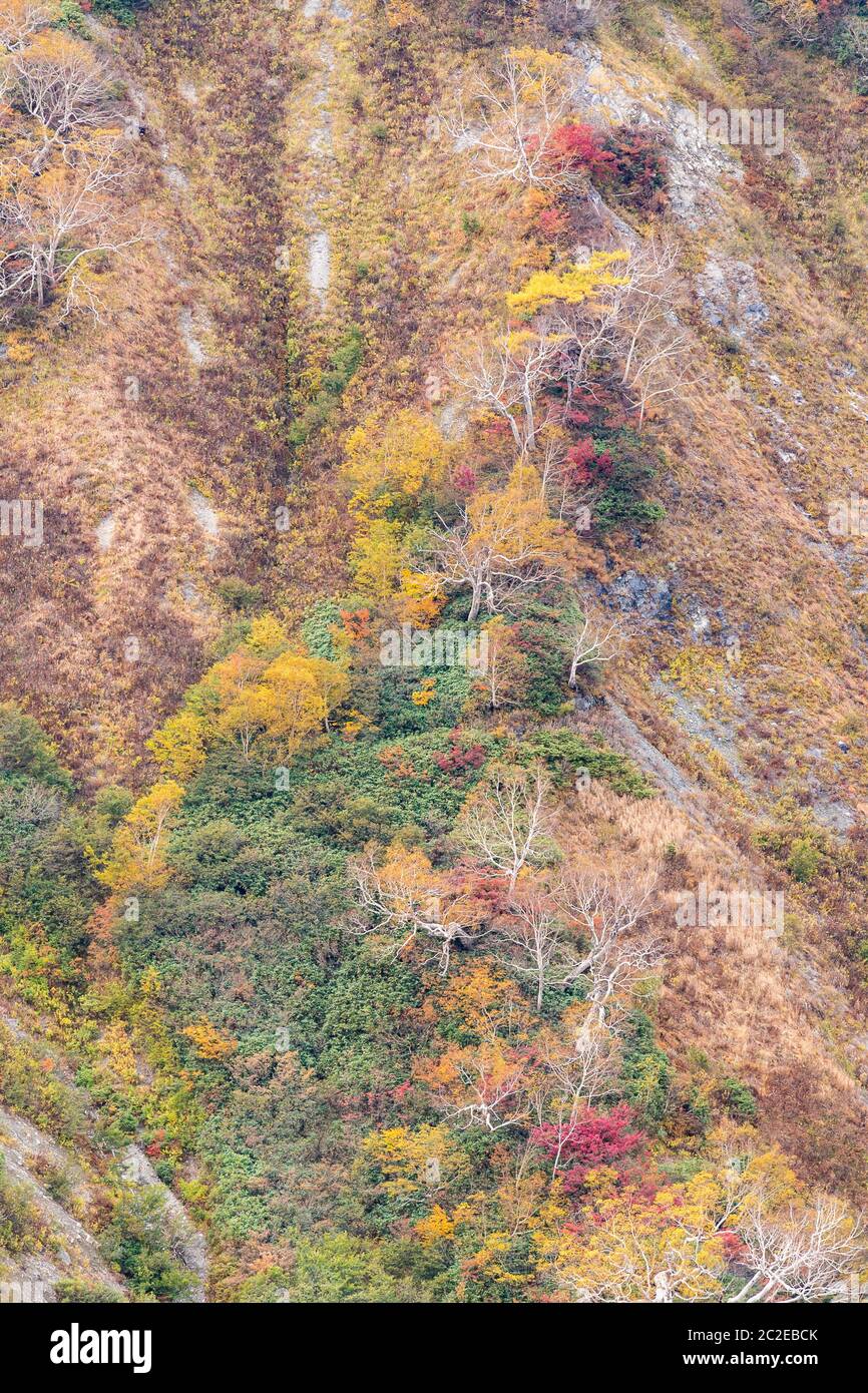 Landschaft Herbst von Hakuba Tal in Nagano Chubu Japan Stockfoto