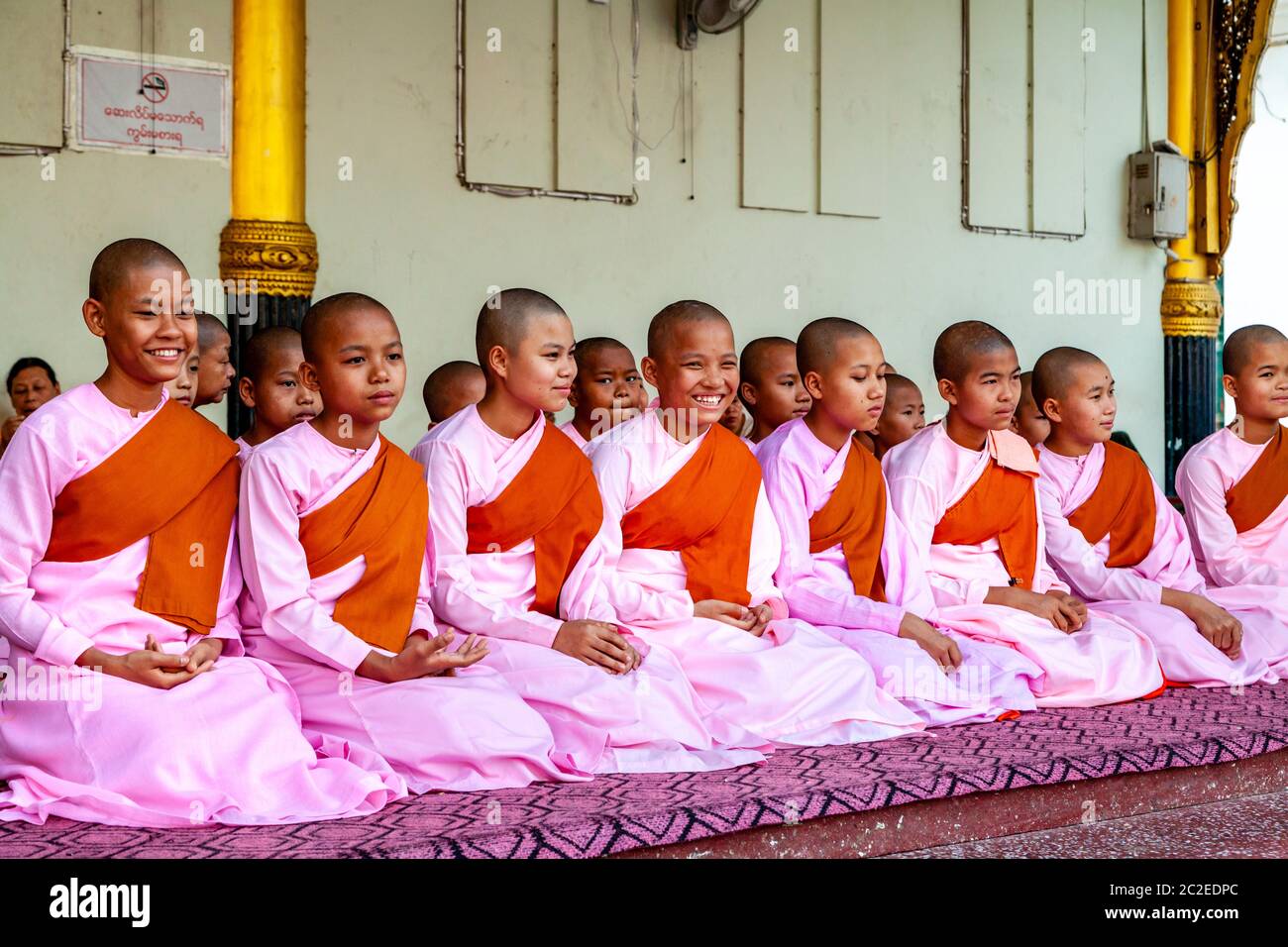 Eine Gruppe von Thilashin (Novizen Nonnen) in der Shwedagon Pagode, Yangon, Myanmar. Stockfoto