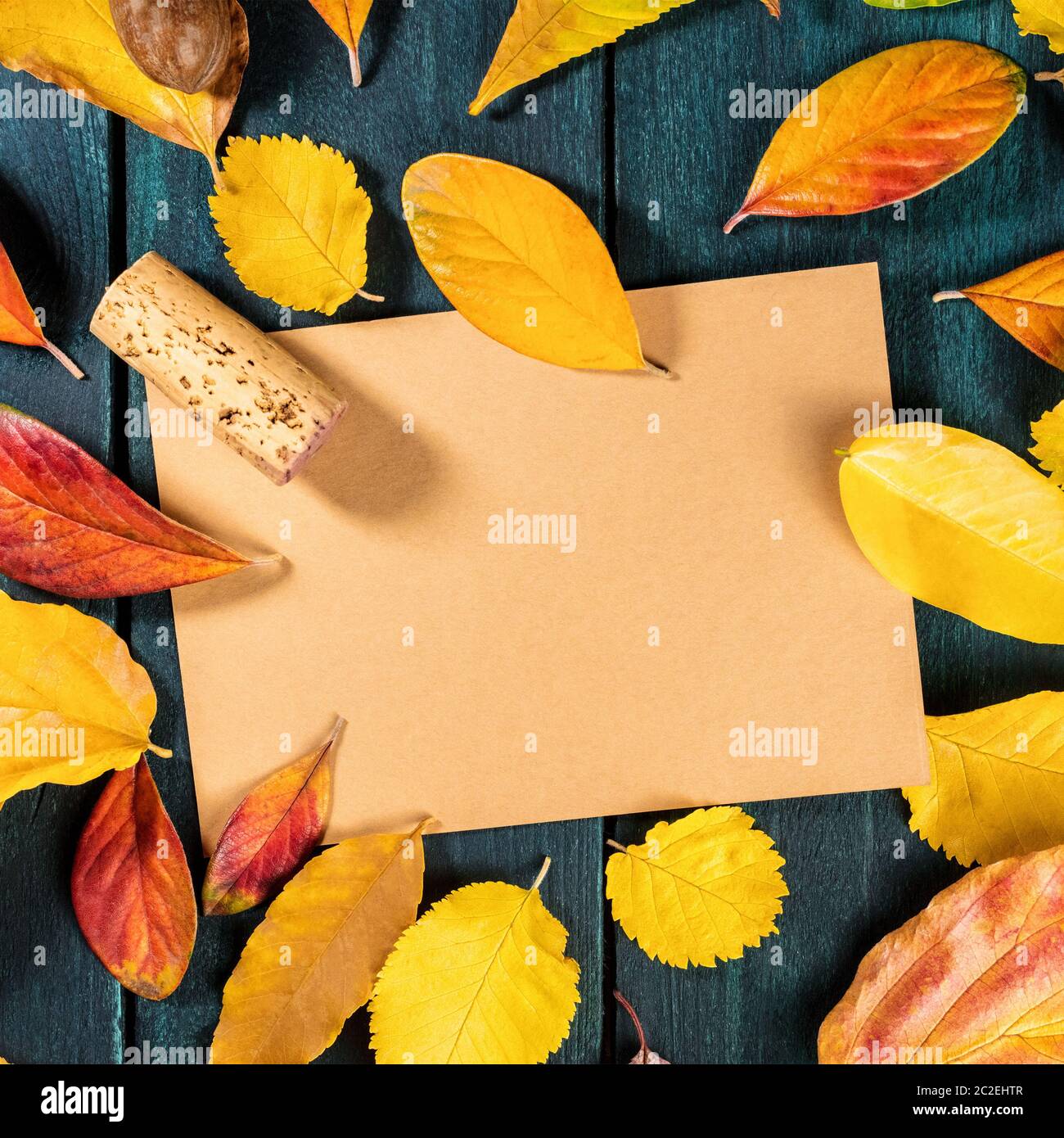 Herbst Wein Design Vorlage mit Weinkorken und Blättern Stockfoto