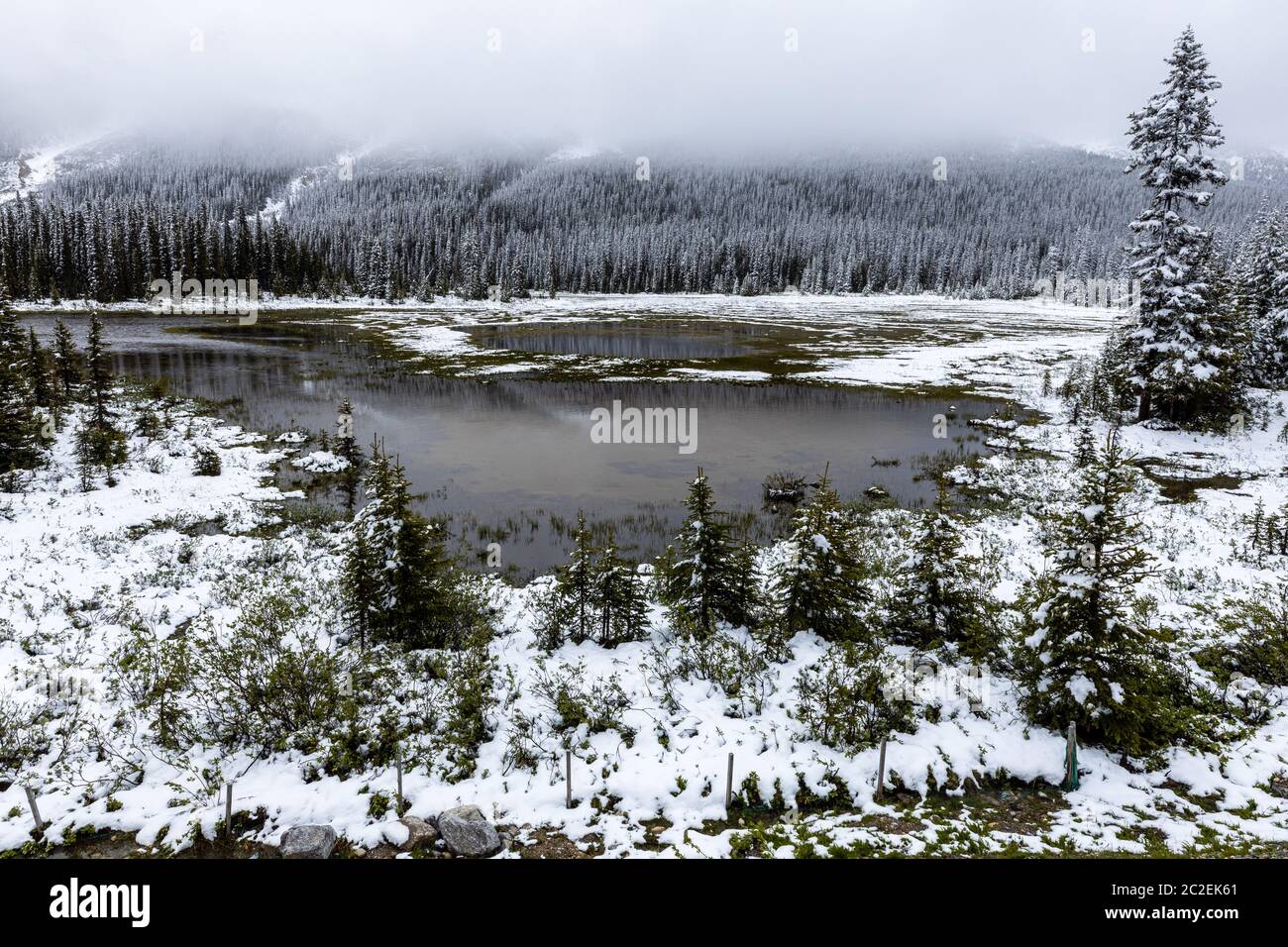 Winterzeit im Banff Nationa Park in Kanada Stockfoto