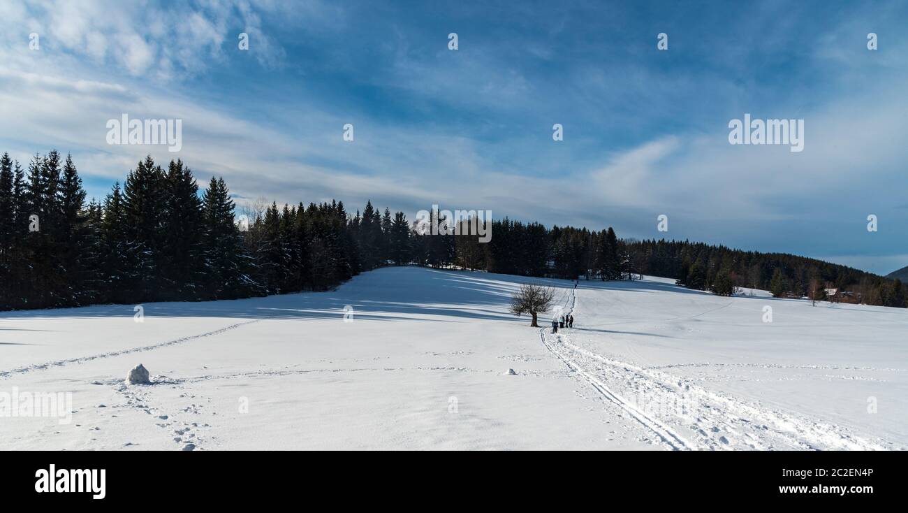 Winterlandschaft mit schneebedeckten Wiese, Wanderweg mit wenigen Touristen, isolierter Baum, Wald im Hintergrund und blauer Himmel mit Wolken unten Lysa Stockfoto