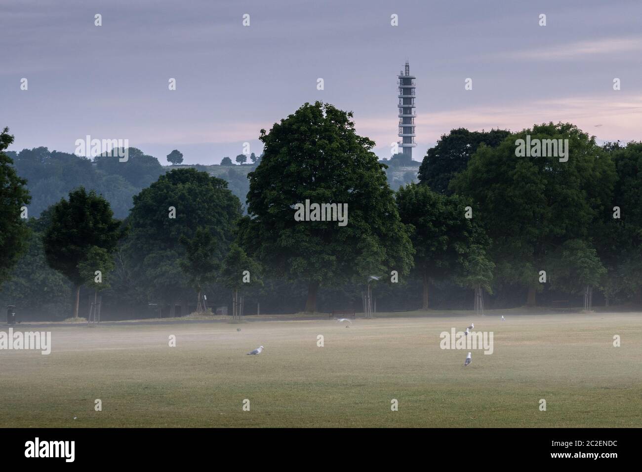 Nebel steigt aus dem Spielfeld des Eastville Park bei Sonnenaufgang in North Bristol, mit dem Purdown BT Turm in der Ferne. Stockfoto