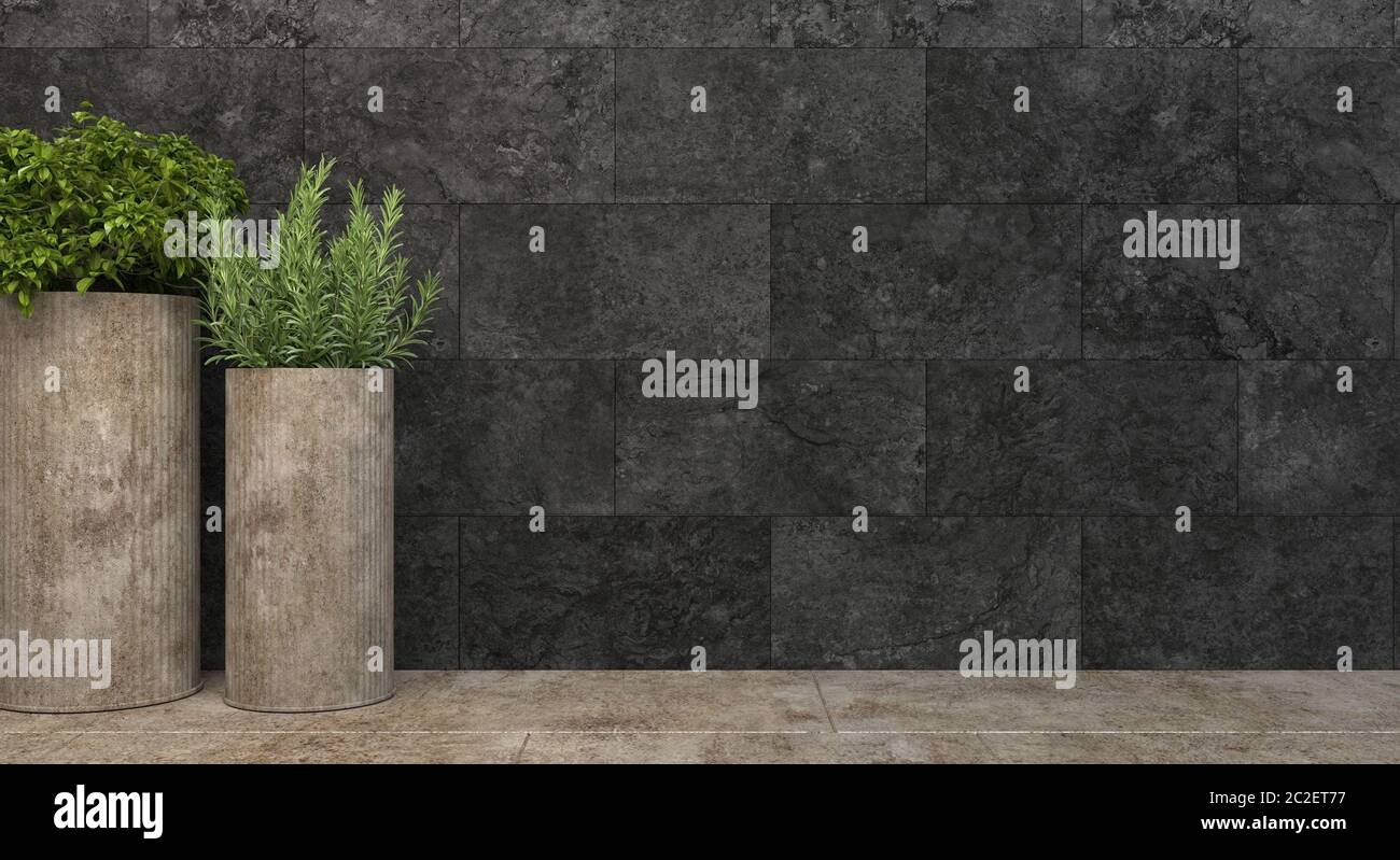 Zylindrische Beton-Blumentöpfe mit loftartigen Pflanzen stehen an einer schwarzen Wand. Vorderansicht mit Kopierplatz. 3D-Rendering-Illustration. Stockfoto