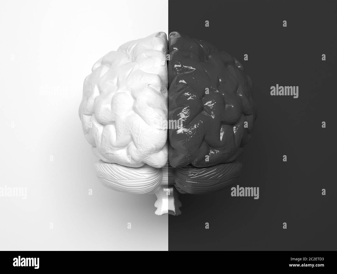 Schwarz-weißes menschliches Gehirn in zwei Teile in der Mitte geteilt. Eine Hälfte ist weiß, die andere Hälfte ist schwarz. Kreative konzeptionelle Illustration Stockfoto