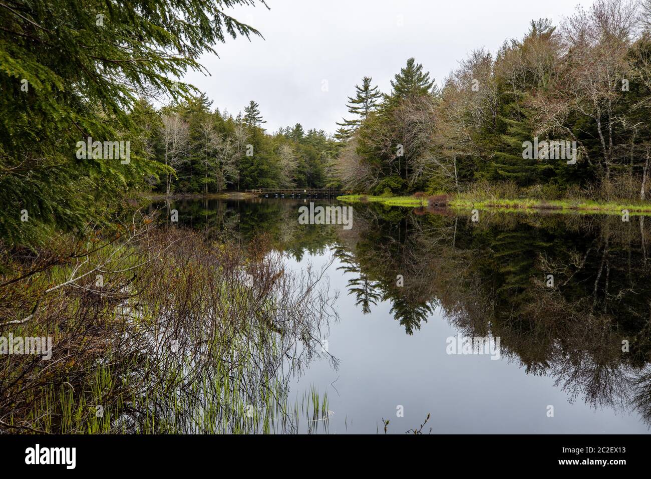 See und Fluss des Kejimkujik National Park von Nova Scotia Kanada Stockfoto