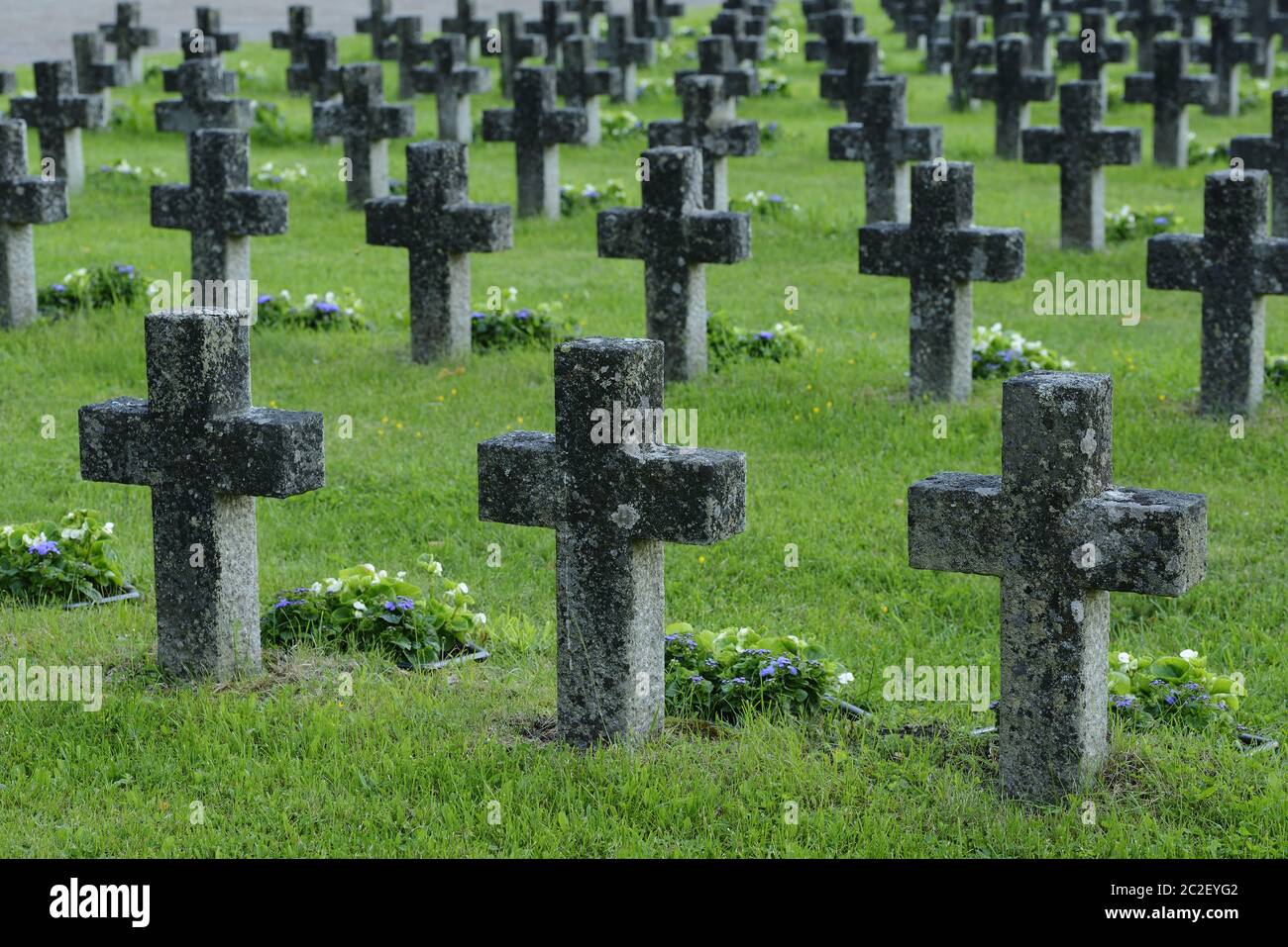 Reihen von Steinkreuzen in einem Militärfriedhof Stockfoto
