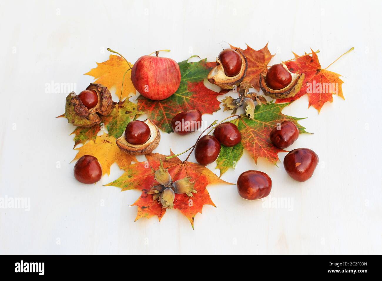 Farbenfroher Herbsthintergrund mit Kastanien, Herbstblättern, Apfel und Haselnüssen Stockfoto