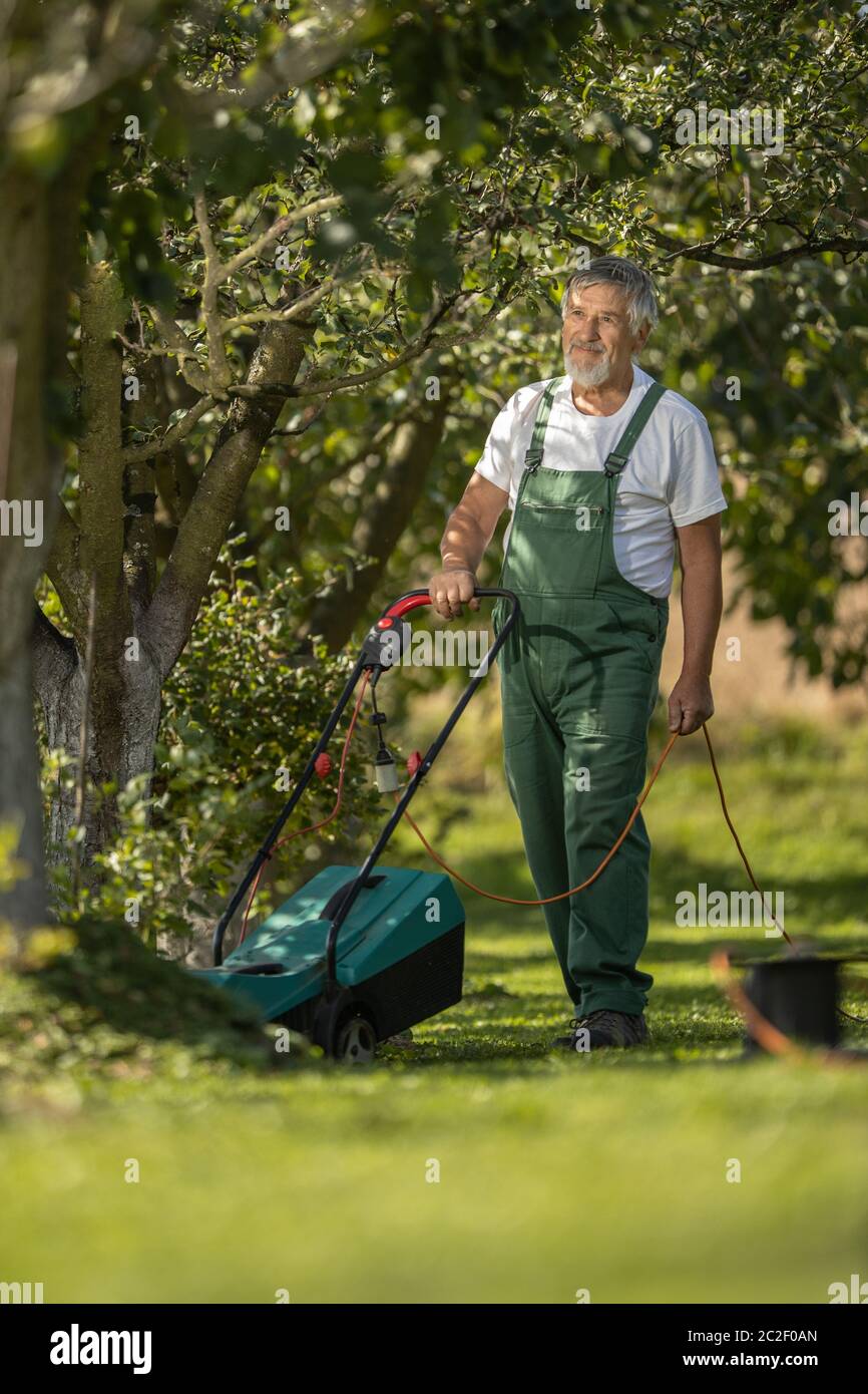 Senior Gärtner Gartenarbeit in seine Permakultur Garten - Stockfoto
