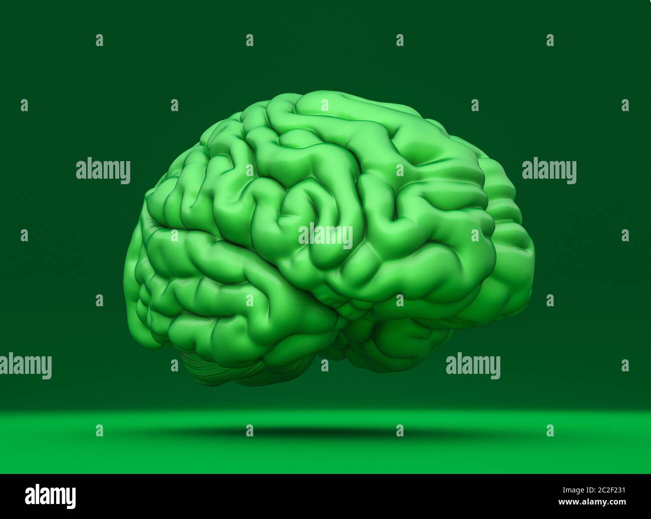 Grünes Gehirn auf monochromem Hintergrund. Konzept des ökologischen Denkens. 3d-Rendering. Niemand in der Nähe. Stockfoto