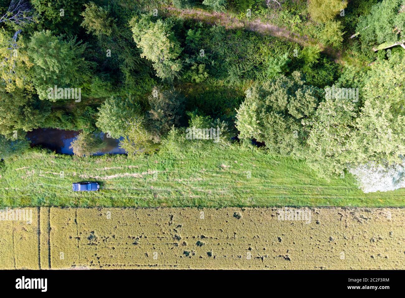 Luftfahrbahn Ansicht eines Autos, das im Land zwischen einem Fluss, einem Wald und einem grünen Weizenfeld fährt Stockfoto
