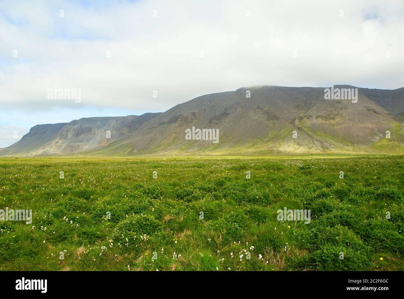 Sommerlandschaft im Süden Islands Stockfoto
