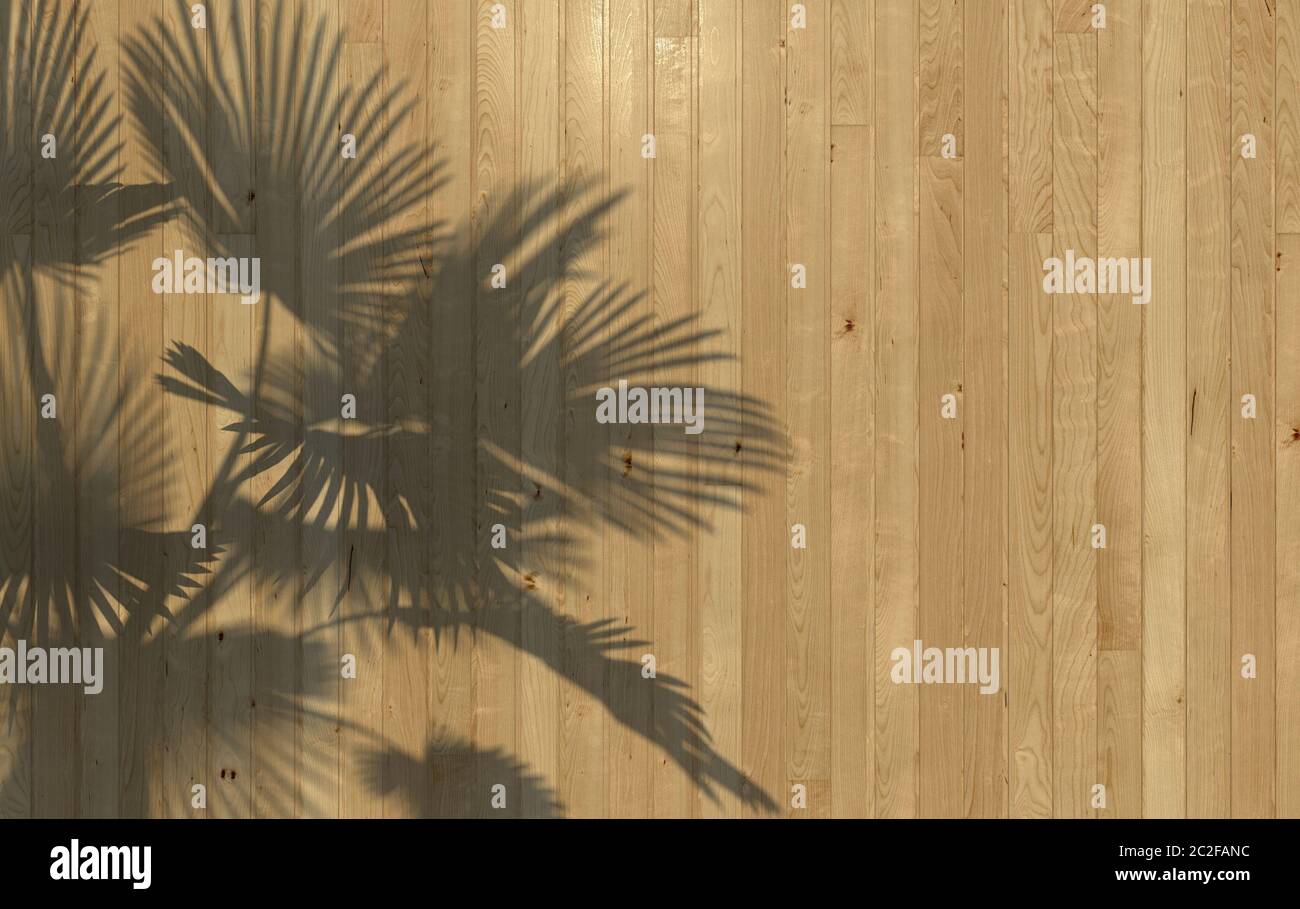 Palmblätter werfen einen Schatten auf die Holzwandverkleidung. Konzeptionelle kreative Illustration mit Kopierbereich. 3D-Rendering. Stockfoto
