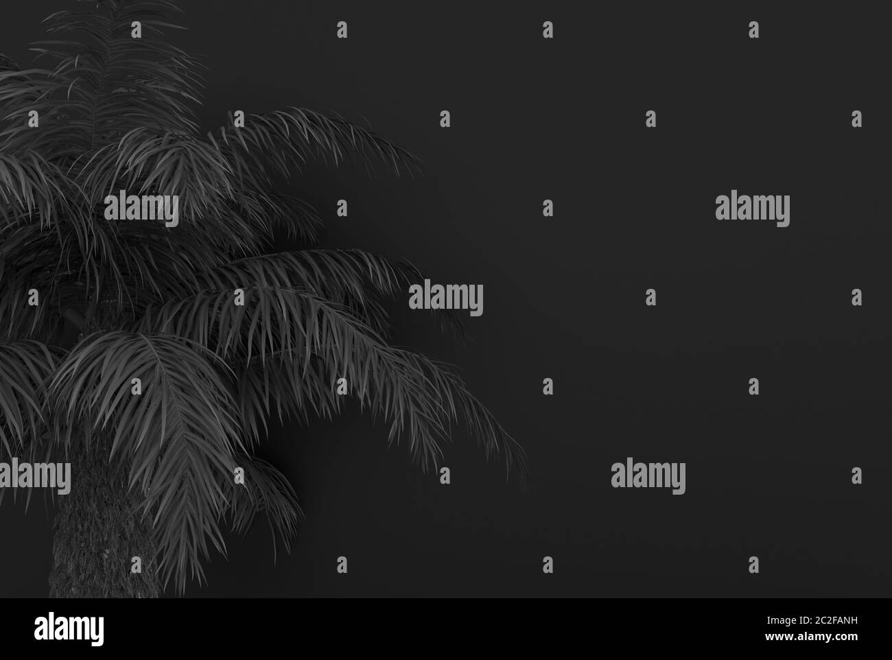 Palme mit schwarzen Palmblättern auf schwarzem Hintergrund. Schwarz-farbenes Laub. Konzeptionelle kreative Illustration mit Kopierbereich. 3D-Rendering. Stockfoto