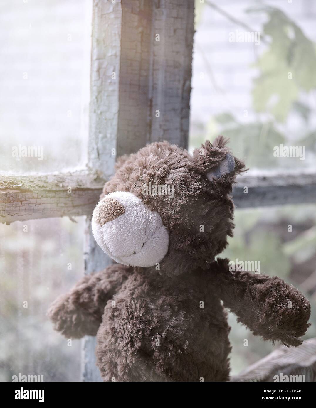 Braun Teddy sitzt auf der Fensterbank und schaut aus dem Fenster, Nostalgie Konzept Stockfoto