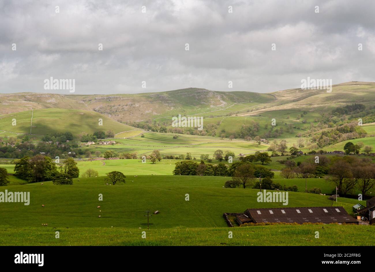 Schafe weiden auf Weidefeldern im Malhamdale Tal neben Malham Dorf unter den Moorbergen von England Yorkshire Dales. Stockfoto