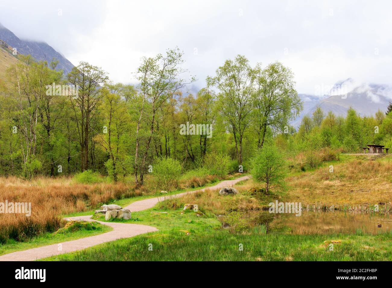 Parkbank umgeben von Waldbäumen in Glen Nevis, den schottischen Highlands Stockfoto