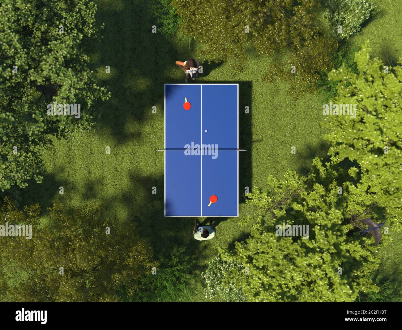 Single Tischtennis auf der grünen Wiese im Wald zwischen den Bäumen. Zwei Personen spielen Tischtennis auf Gras auf der Draufsicht. Glücksspiel in der Natur. 3D r Stockfoto