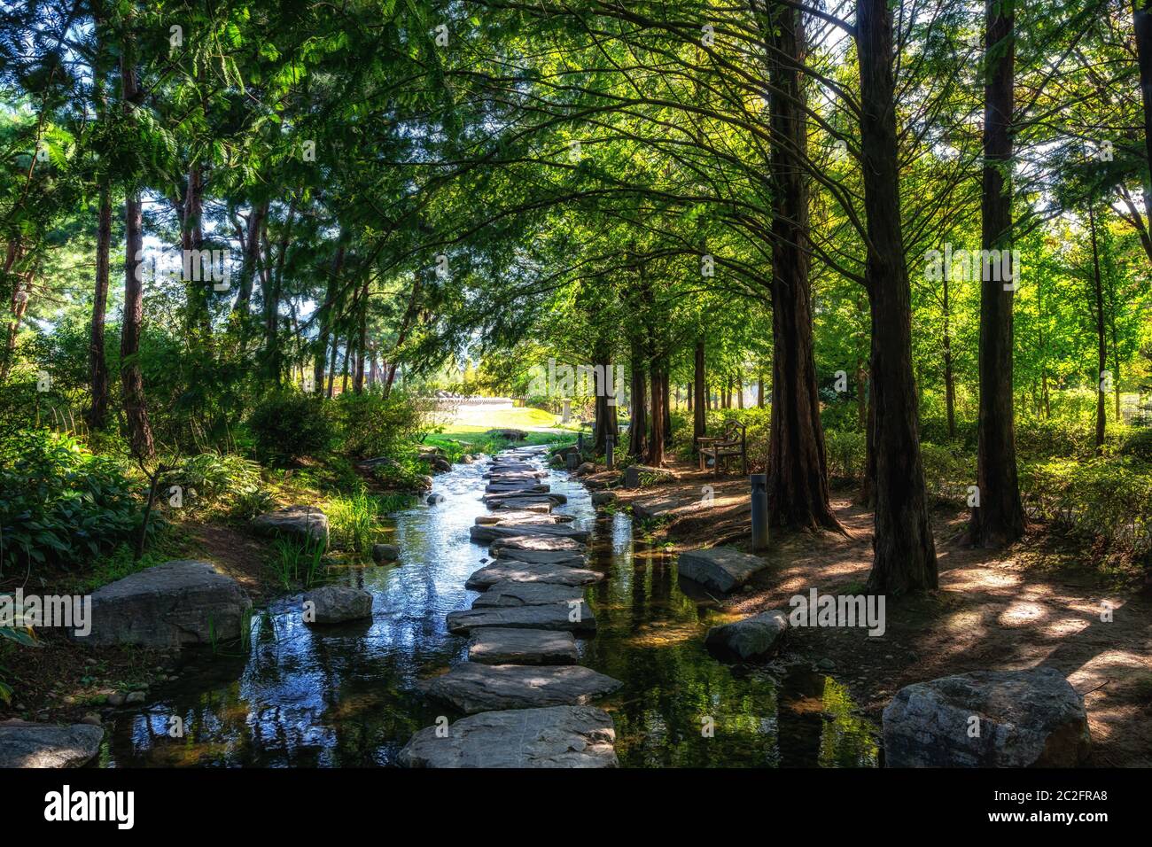 Halbgewonnener garten Fotos und Bildmaterial in hoher Auflösung Alamy