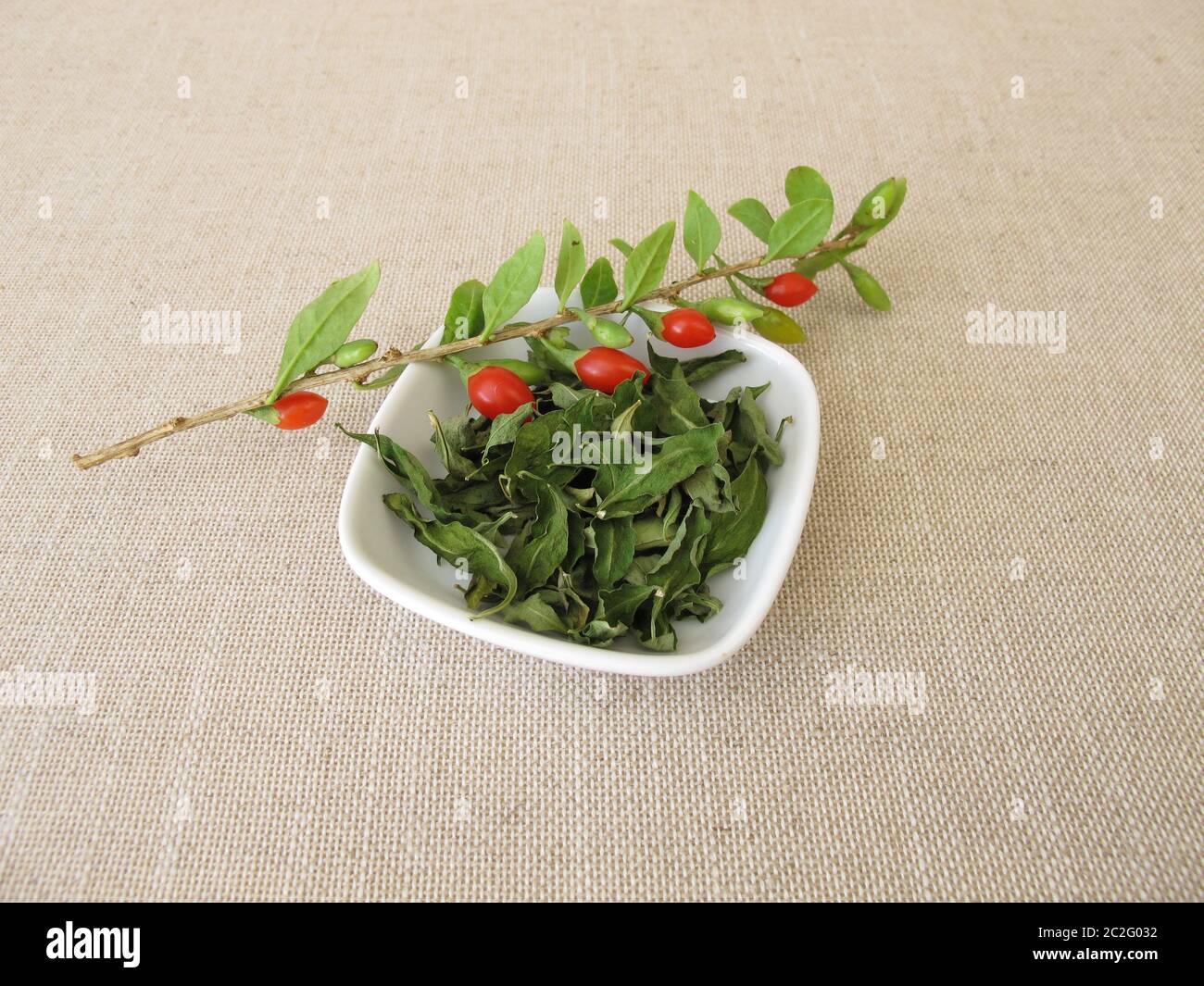 Getrocknete Goji-Blätter in einer Schüssel und ein frischer Wolfberry-Zweig Stockfoto
