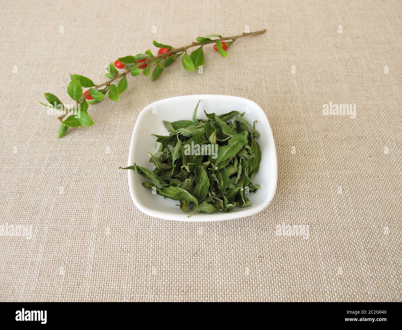 Getrocknete Goji-Blätter in einer Schüssel und ein frischer Wolfberry-Zweig Stockfoto