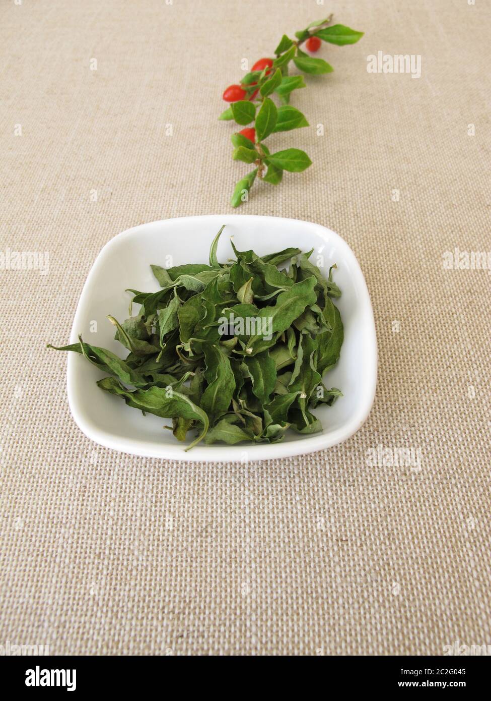Getrocknete Goji-Blätter in einer Schüssel und ein frischer Wolfberry-Zweig Stockfoto
