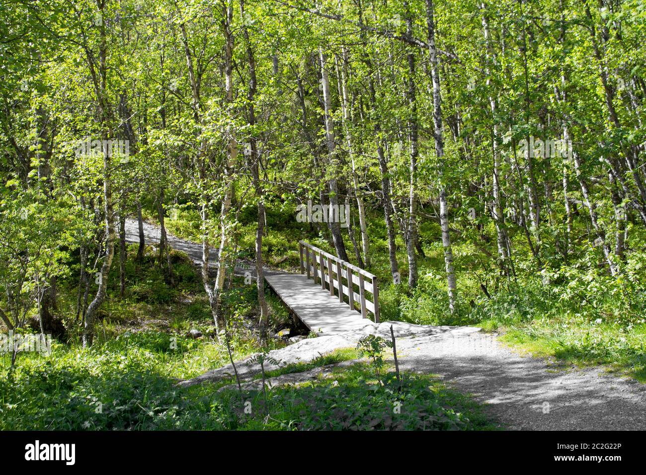 Kleine Holzbrücke im Wald, Natur, Norwegen. Stockfoto