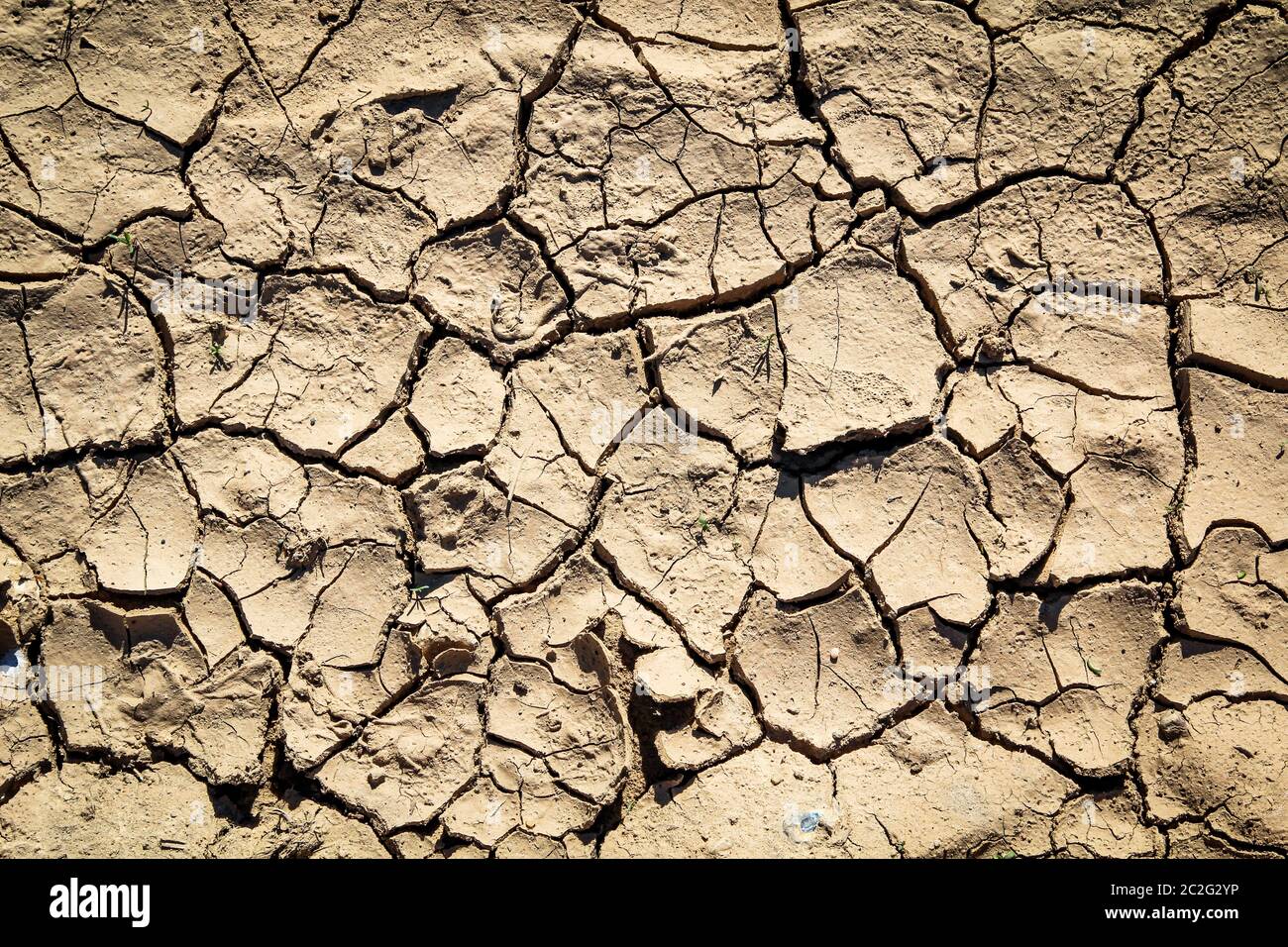 Trockene Erde aufgrund von Wassermangel, ausgelöst durch den Beginn des Klimawandels Stockfoto Trockene Erde aufgrund von Wassermangel, ausgelöst durch den Beginn des Klimawandels Stockfoto