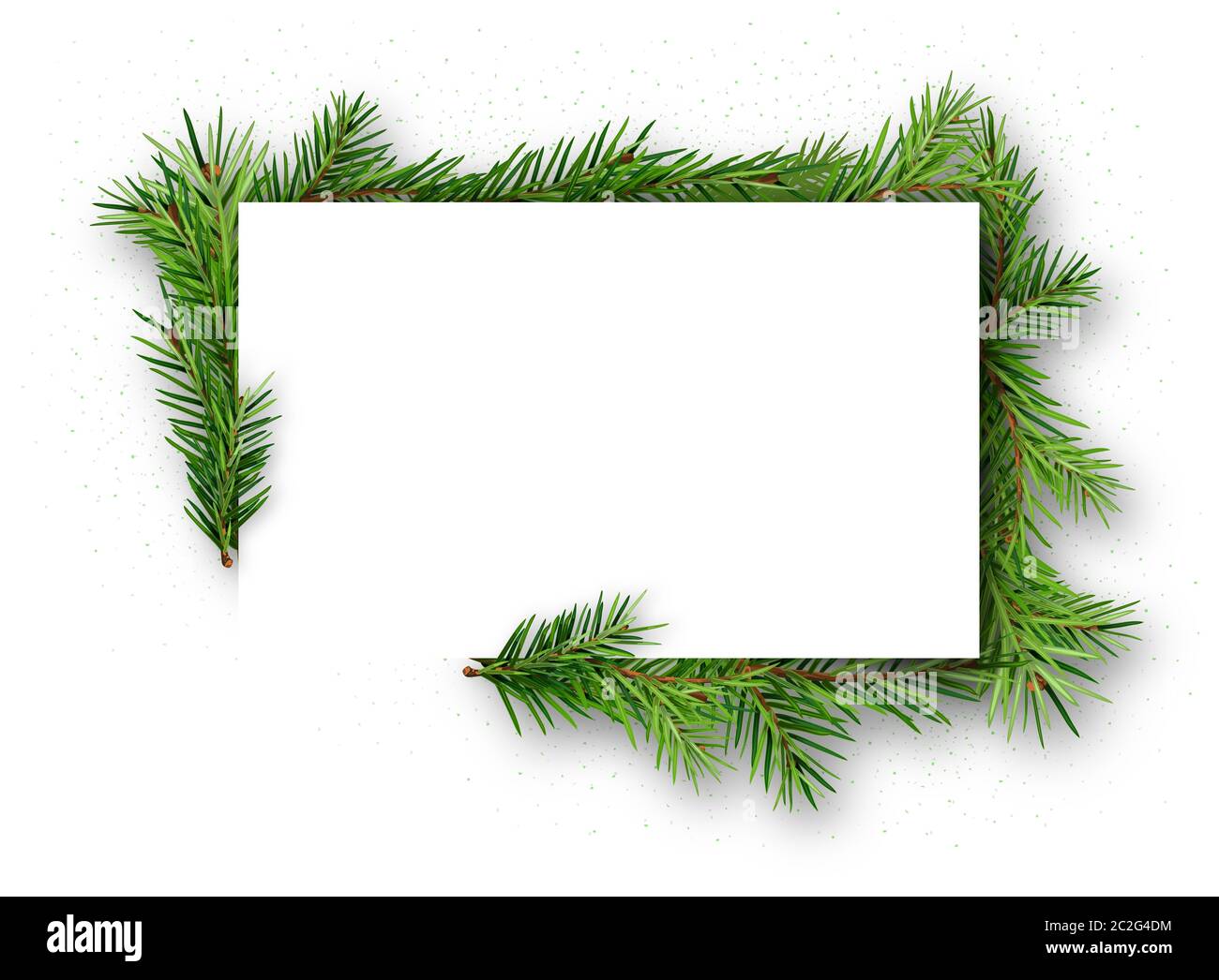 Rahmen mit Nadelholz Zweige auf weißem Hintergrund Stockfotografie - Alamy