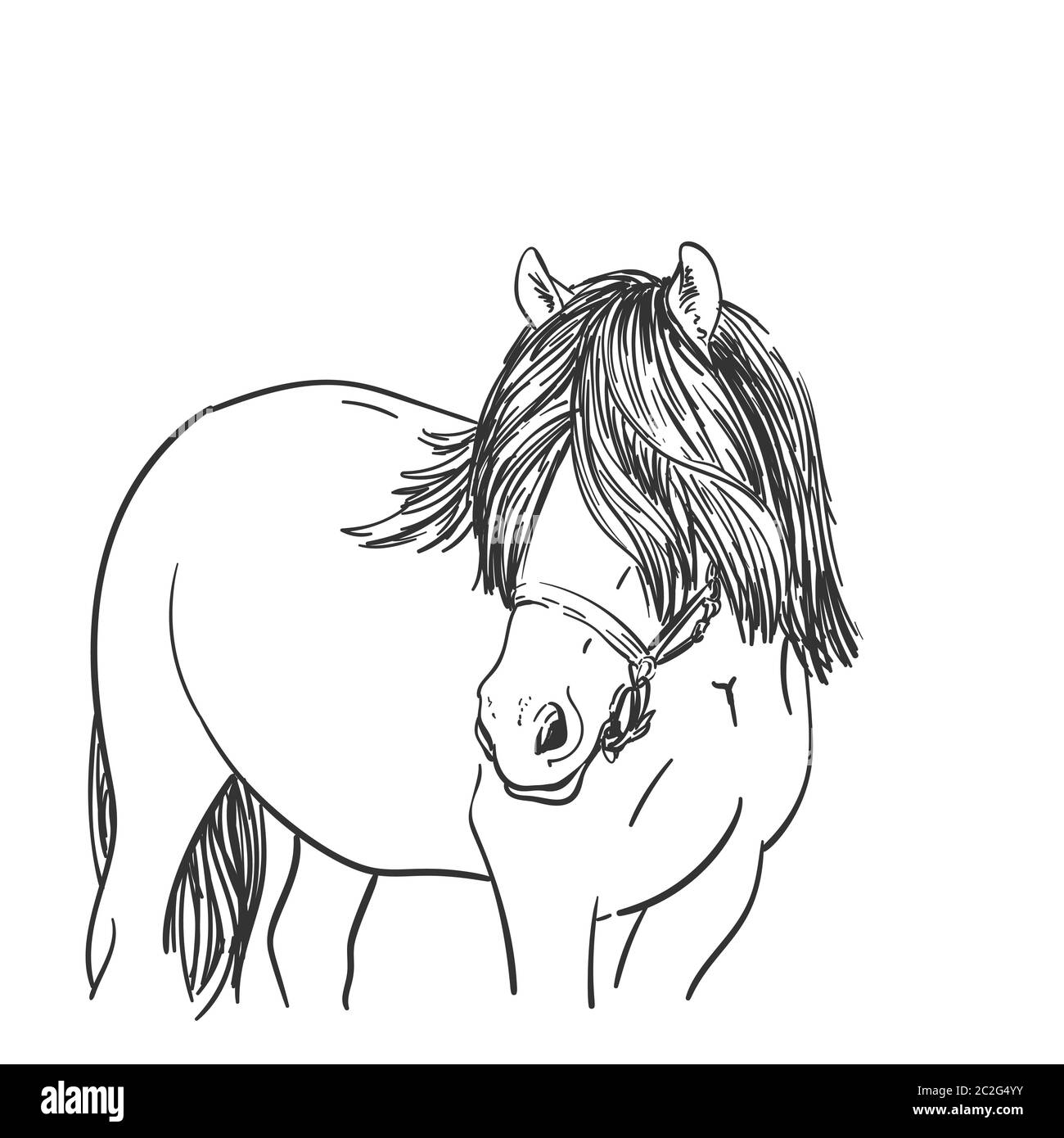 Skizze des Pferdekopfes mit langen Mähne bedeckten Augen, Nordschwedischer Pferderasse, Vektor handgezeichnete Illustration Stock Vektor