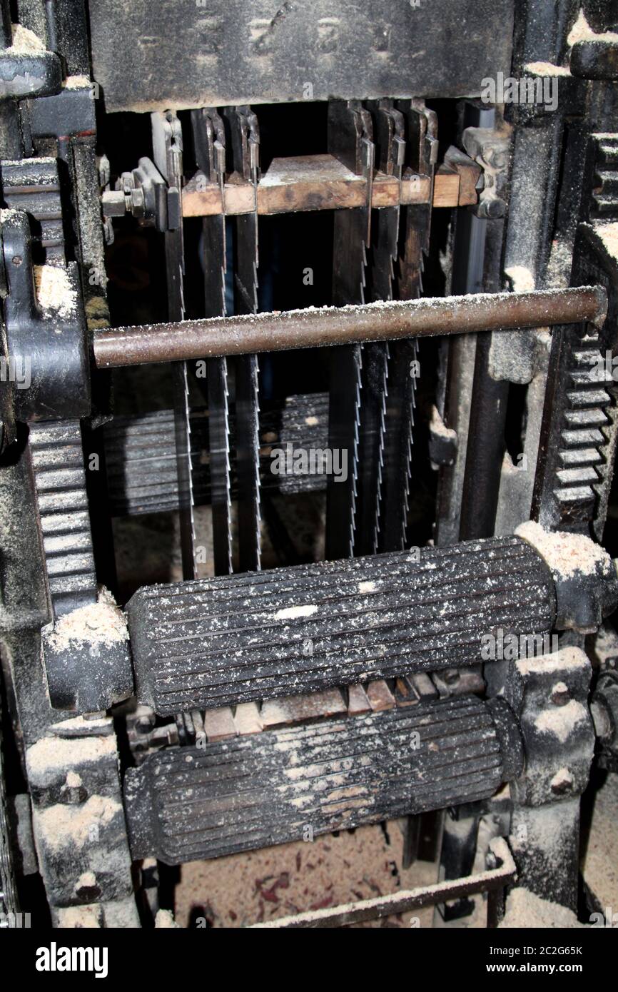 Eine Maschine zum Sägen von Holz loggt sich aus Baumstämmen ab Stockfoto