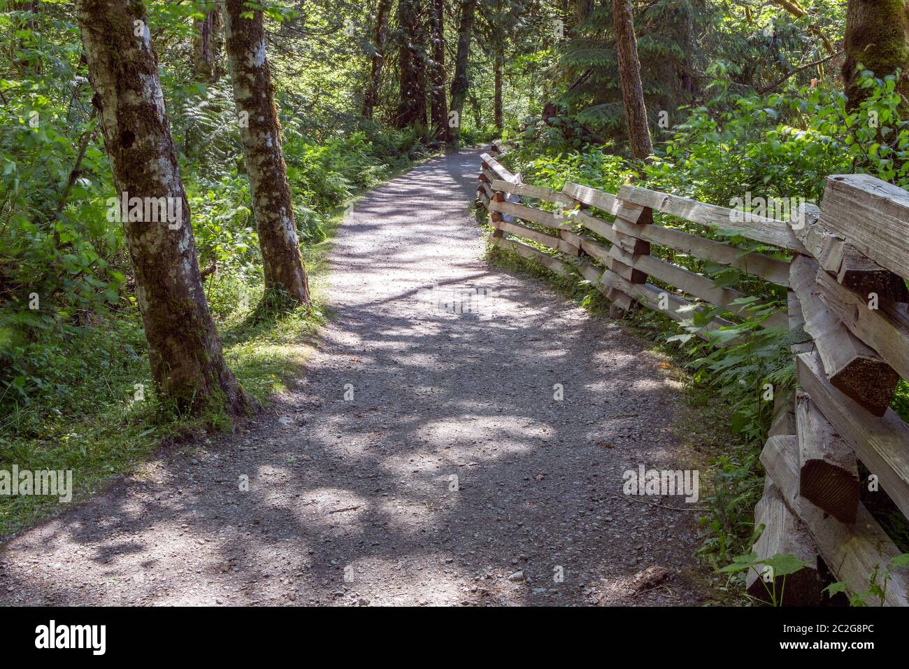 Weg oder Wanderweg durch den dichten Wald mit dem Holzzaun entlang der Straße. Schöne Linien, ruhige und entspannende Atmosphäre. Stockfoto