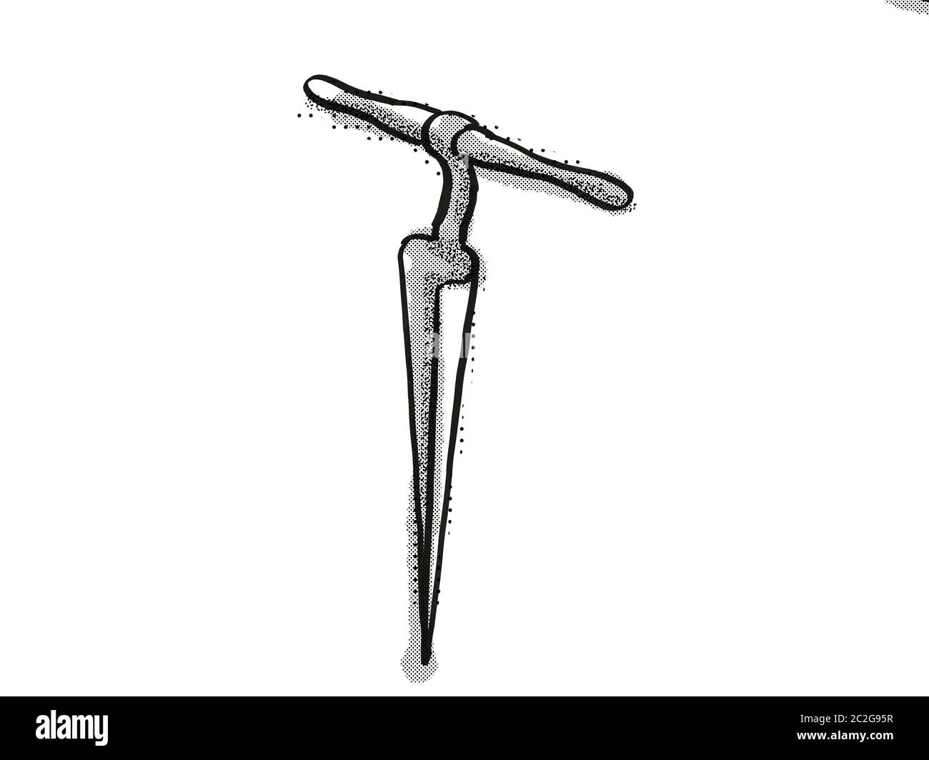 Retro Cartoon Stil Zeichnung der Stellmacher Reibahle, Holzbearbeitung  Werkzeug Hand auf isolierten weißen Hintergrund in Schwarz und Weiß gemacht  Stockfotografie - Alamy