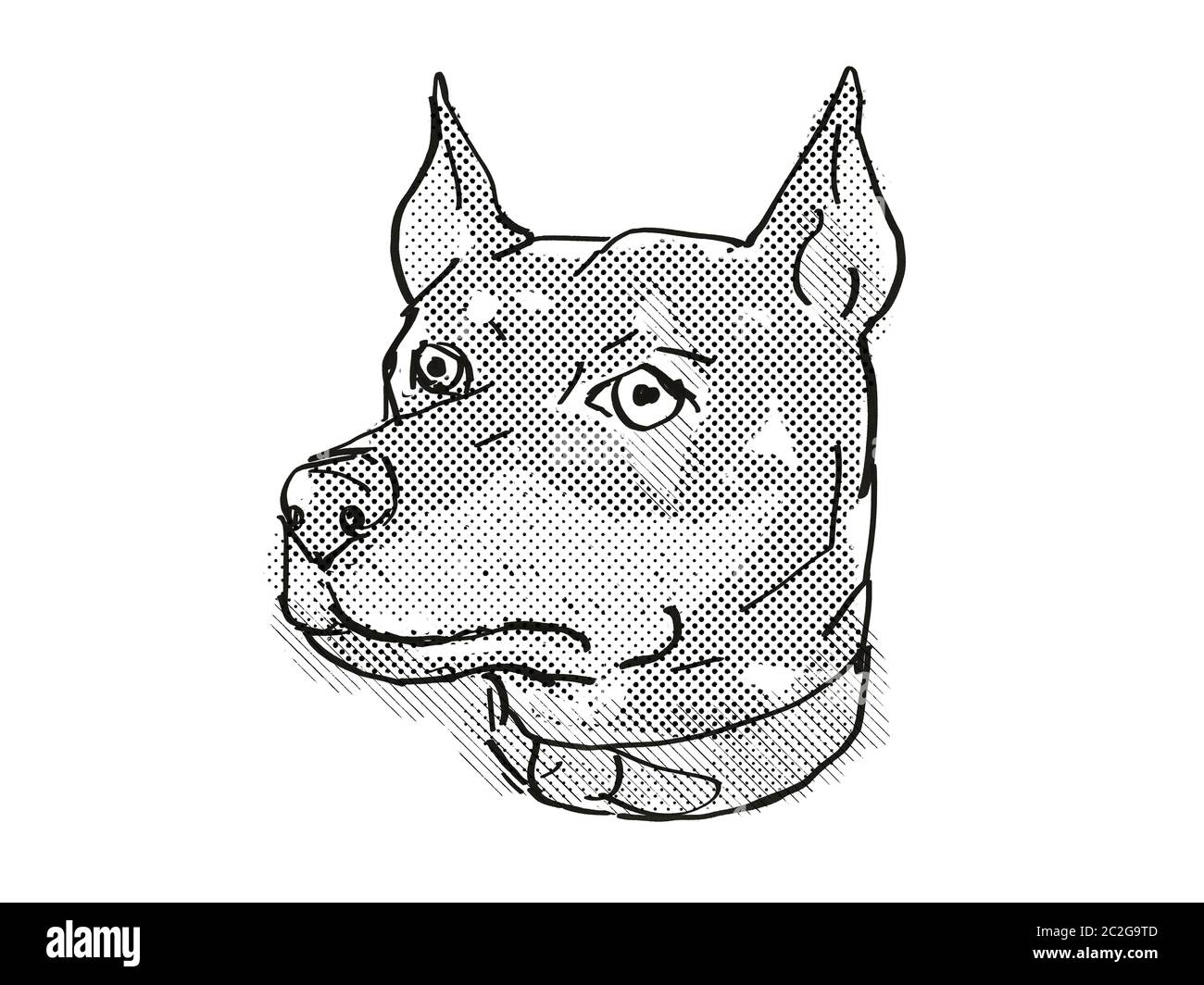 Retro Cartoon Stil zeichnen der Leiter der Deutsche Pinscher, ein Hund oder Hund Rasse auf isolierten weißen Hintergrund in Schwarz und Weiß. Stockfoto