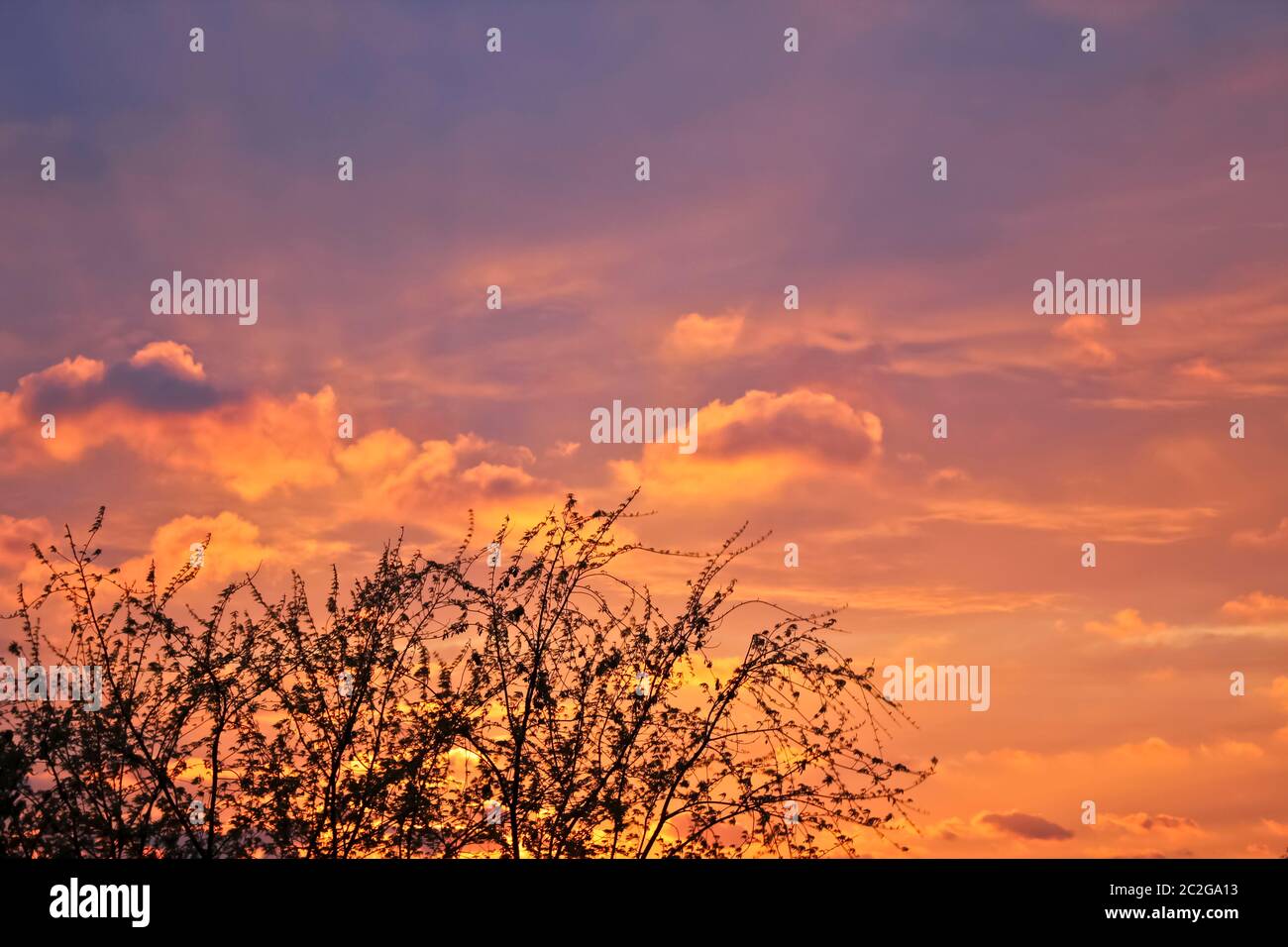 Unglaublich schöne Wolkenformationen und Farben in den Himmel, Sonnenuntergang hinter Bäumen. Stockfoto