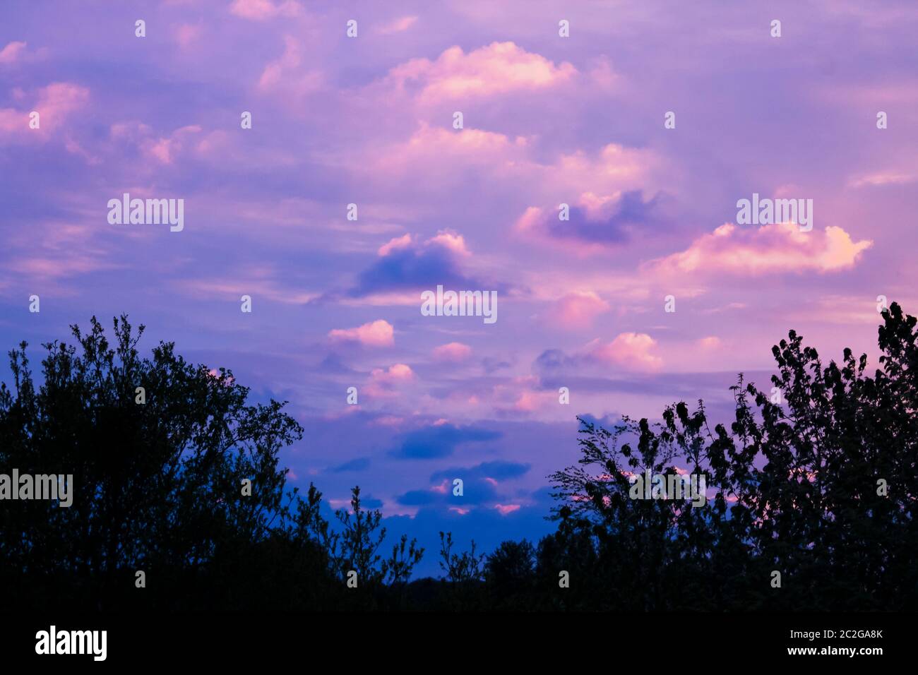 Unglaublich schöne Wolkenformationen und Farben in den Himmel, Sonnenuntergang hinter Bäumen. Stockfoto