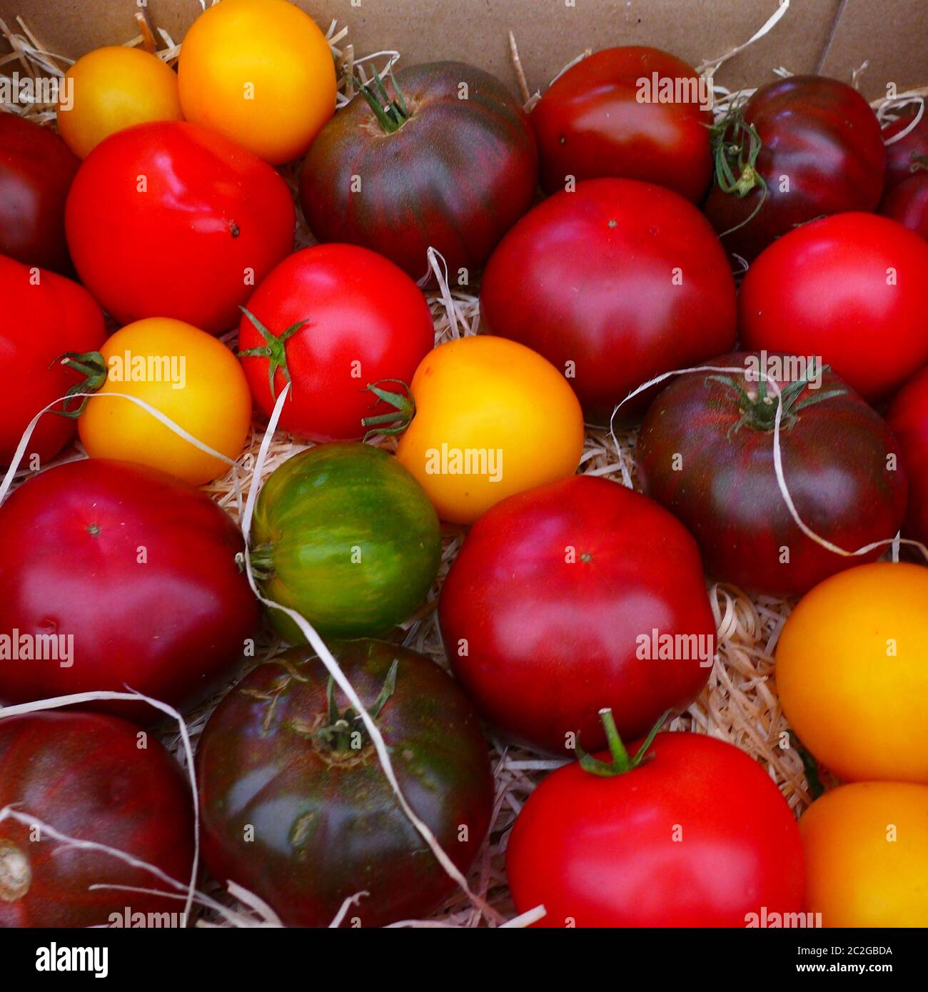 Schöner Freiluftmarkt in Nizza, Frankreich, der eine große Auswahl an Produkten verkauft, von Obst und Gemüse über Kunst, Seifen und erstaunliche Blumen Stockfoto