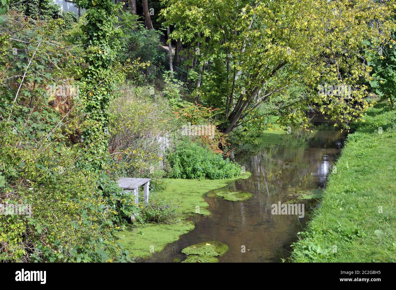 Kleiner Bach am Französischen Garten in Celle Stockfoto